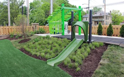 Integrating Nature Play into Childcare Business Models