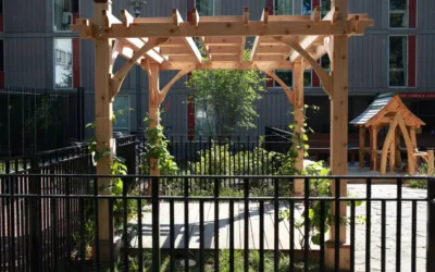 Peabody Terrace Children’s Center Playground